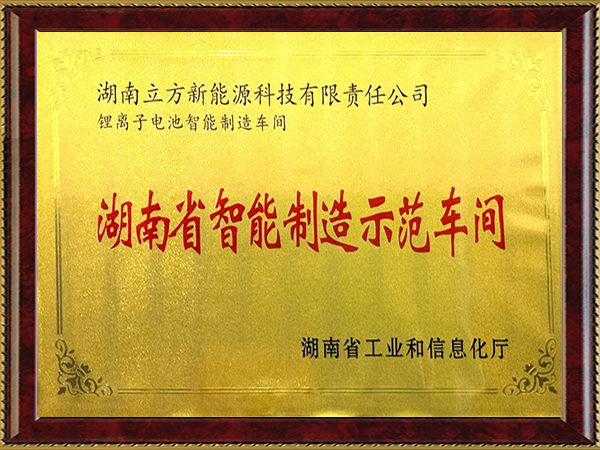 湖南省智能制造树模车间